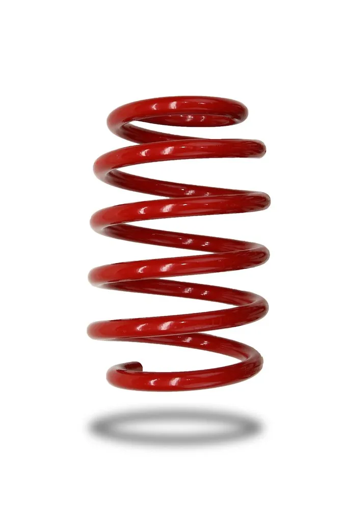 220148 Front Spring Low