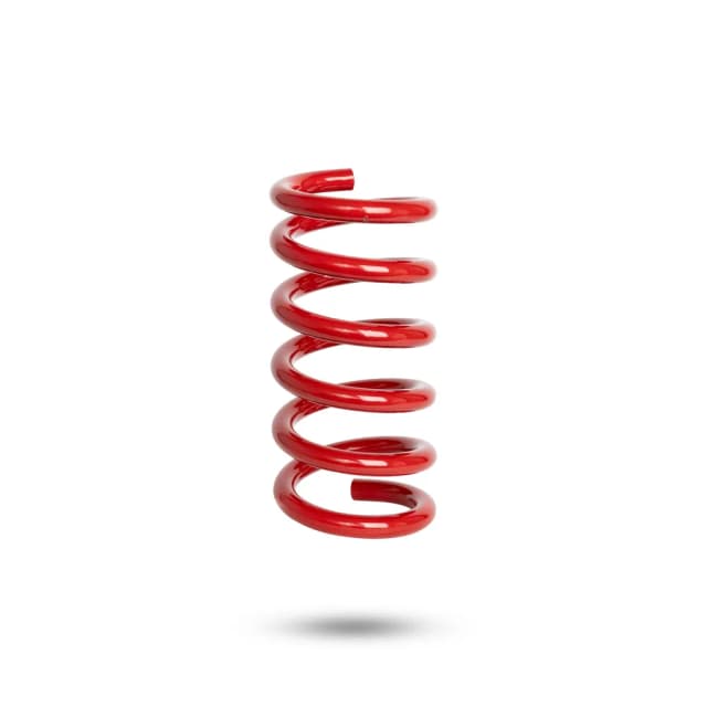 222137R Rear Spring Low