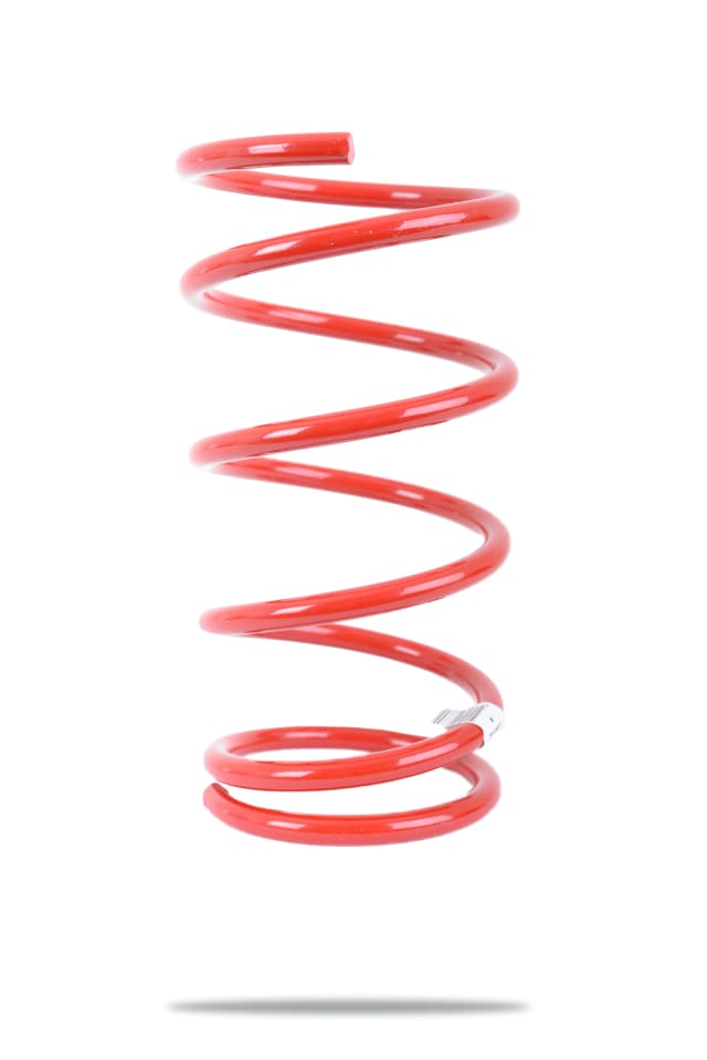 230132 Front Spring Standard