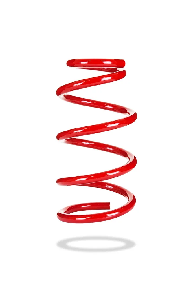 240154 Rear Spring Raised