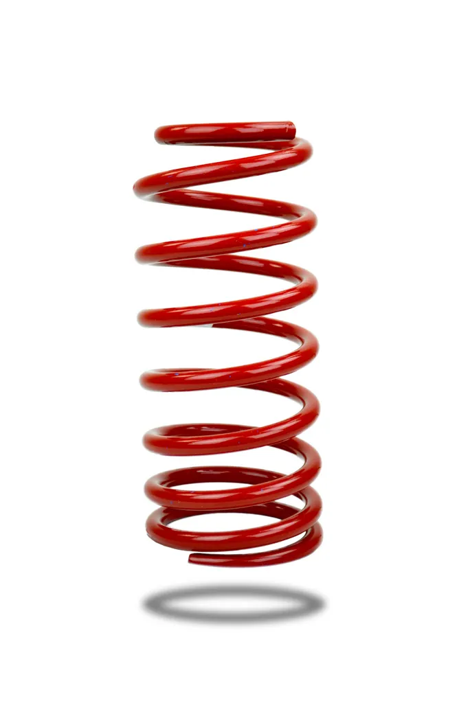 270134 Rear Spring Standard