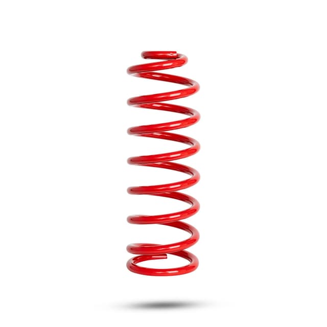 280019 Rear Spring Raised