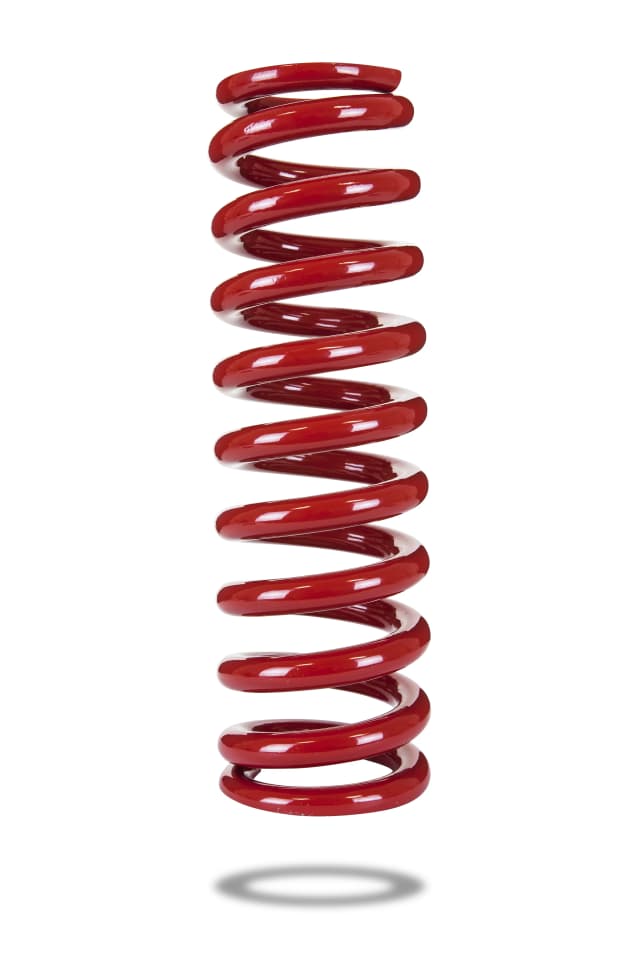 290071 Front Spring Raised