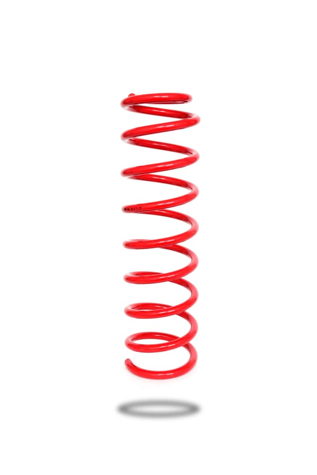 290192 Rear Spring Raised