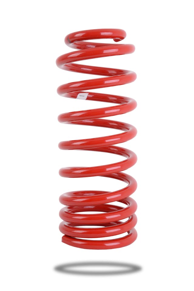 290196 Rear Spring Standard