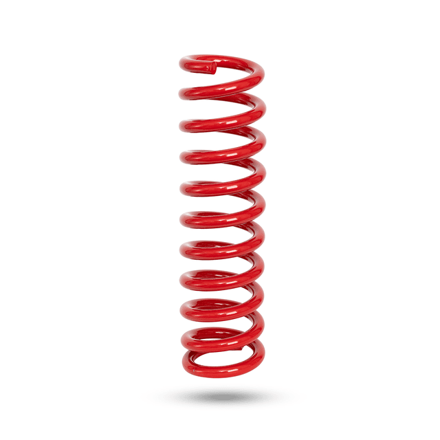 290250 Front Spring Raised