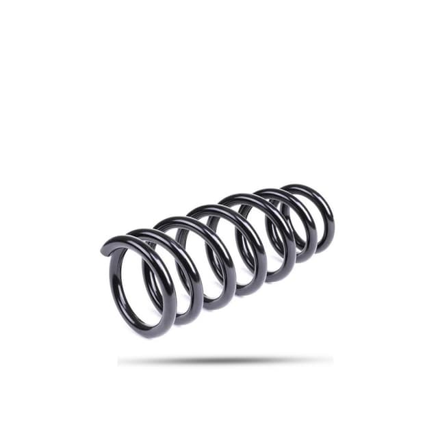 290257 Rear Spring Raised