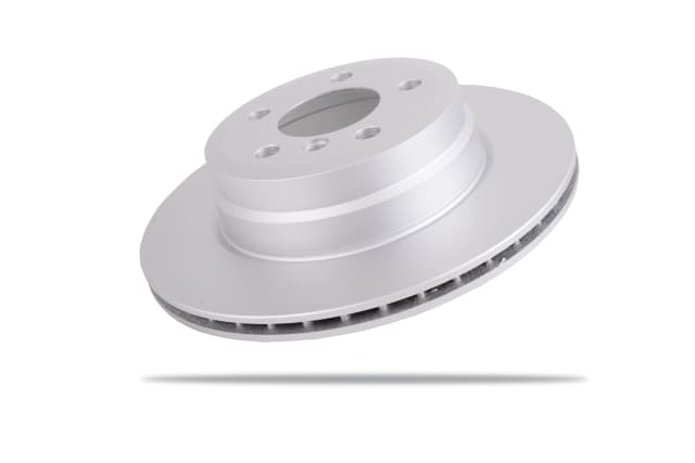 6600040 Rear Brake Rotors