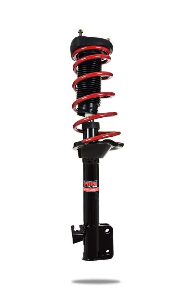 800998R Complete Strut Assembly (Rear)