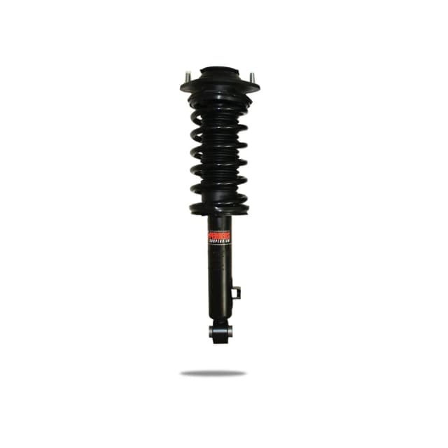 802012 Complete Strut Assembly (Rear)