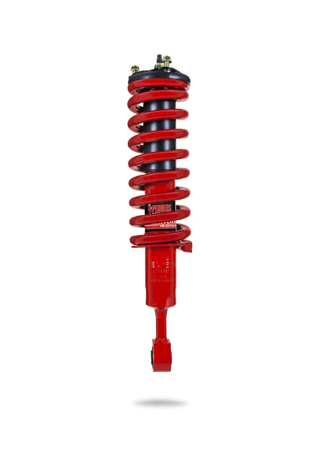 807115L Complete Strut Assembly (Front Standard)