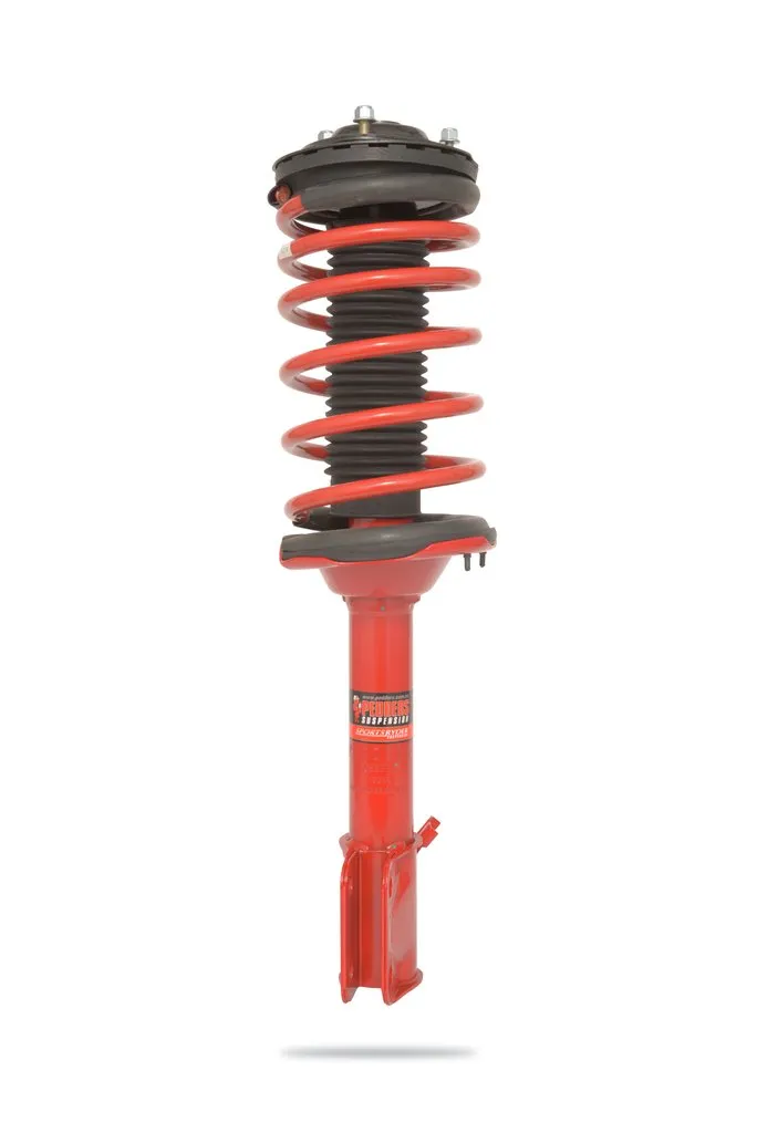 909991L Complete Strut Assembly (Rear)
