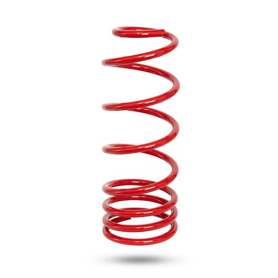 281251 Rear Spring Raised