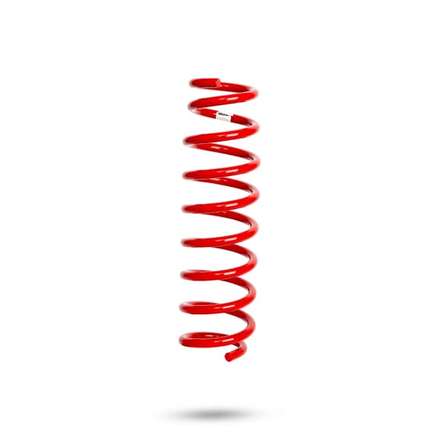 290199 Rear Spring Raised